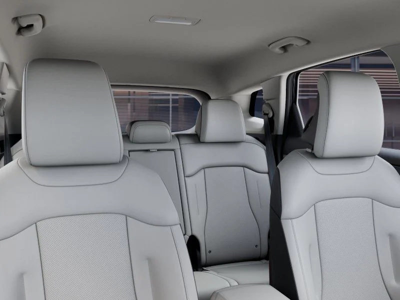 New 2026 Panthera Metal Gray Kia EX image 26