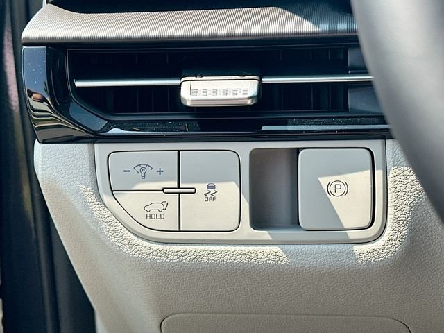 New 2026 Panthera Metal Kia EX image 10