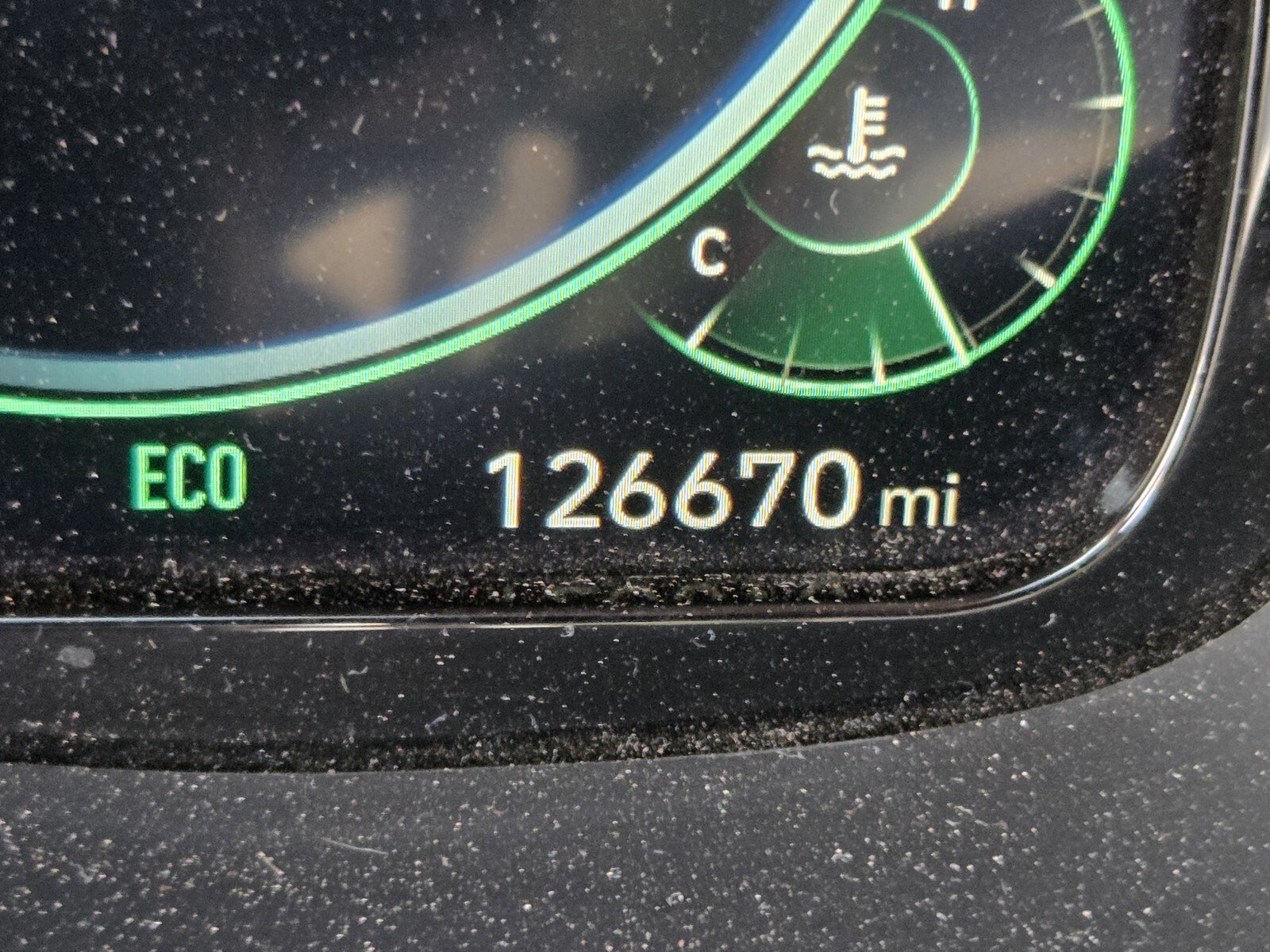 Used 2022 Rainforest Hyundai Calligraphy image 24