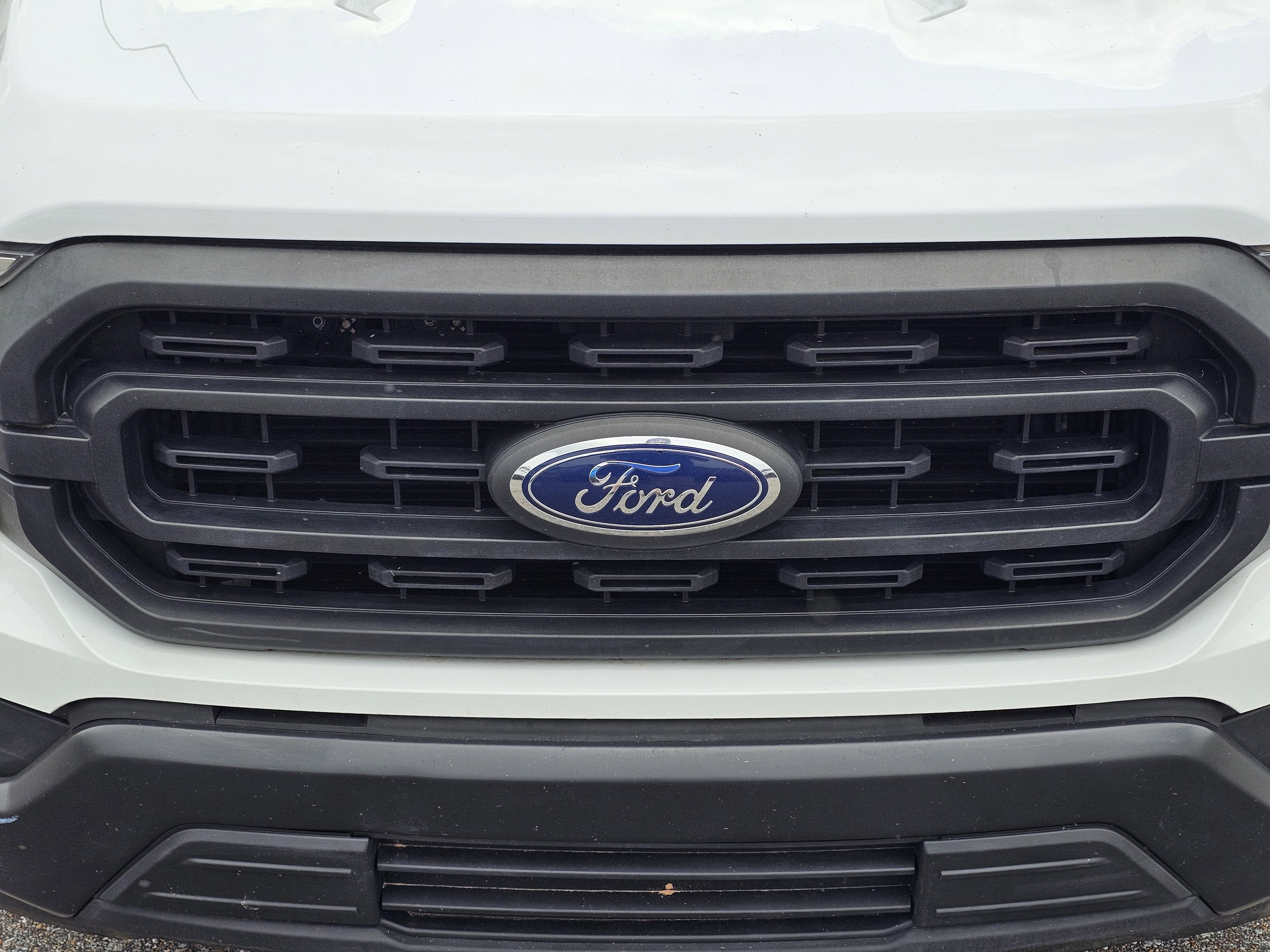 2021 Ford F-150 XL - Photo 3
