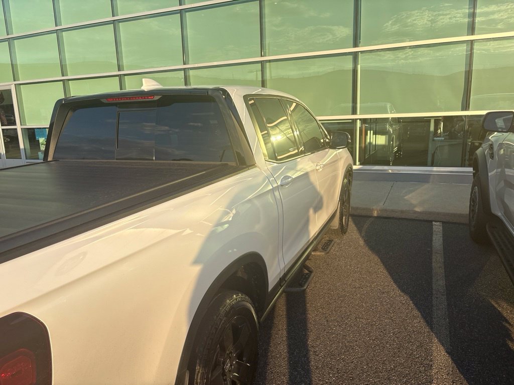 Used 2025 White Honda Black Edition image 2