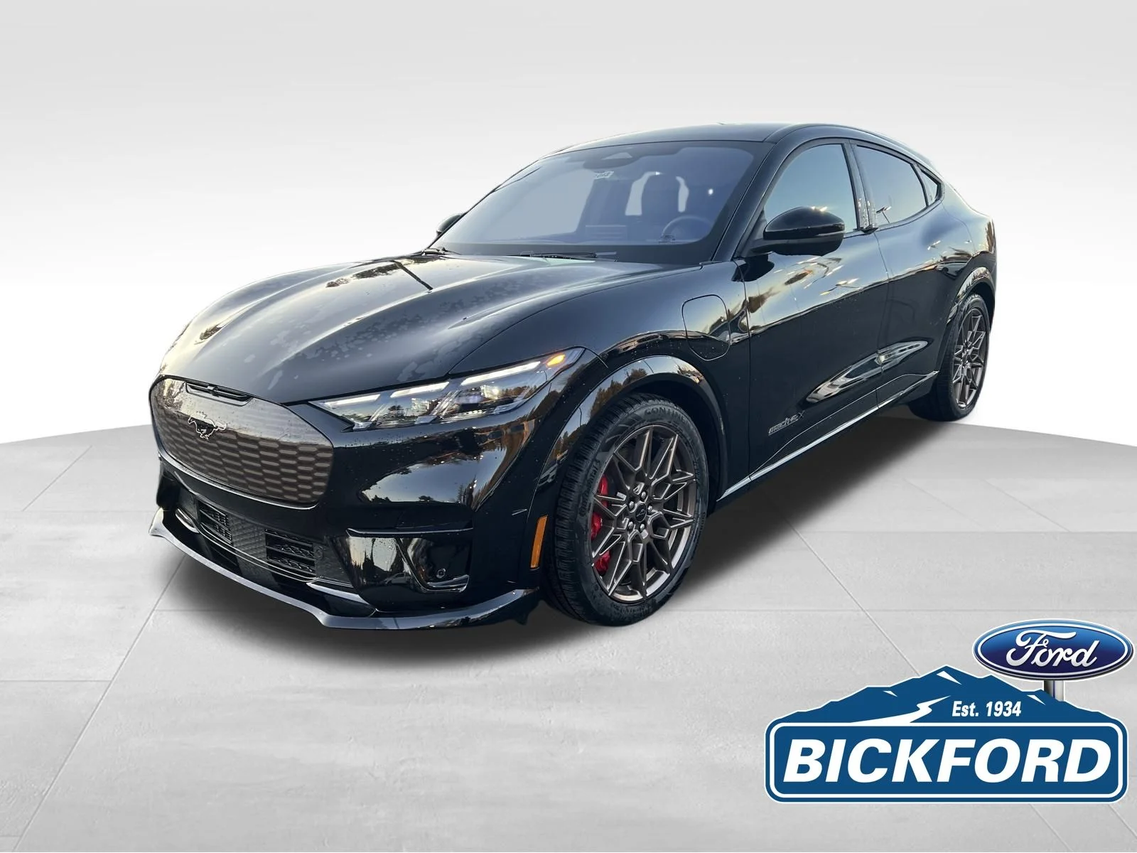 2025 Ford Mustang-Mach-e GT's photo