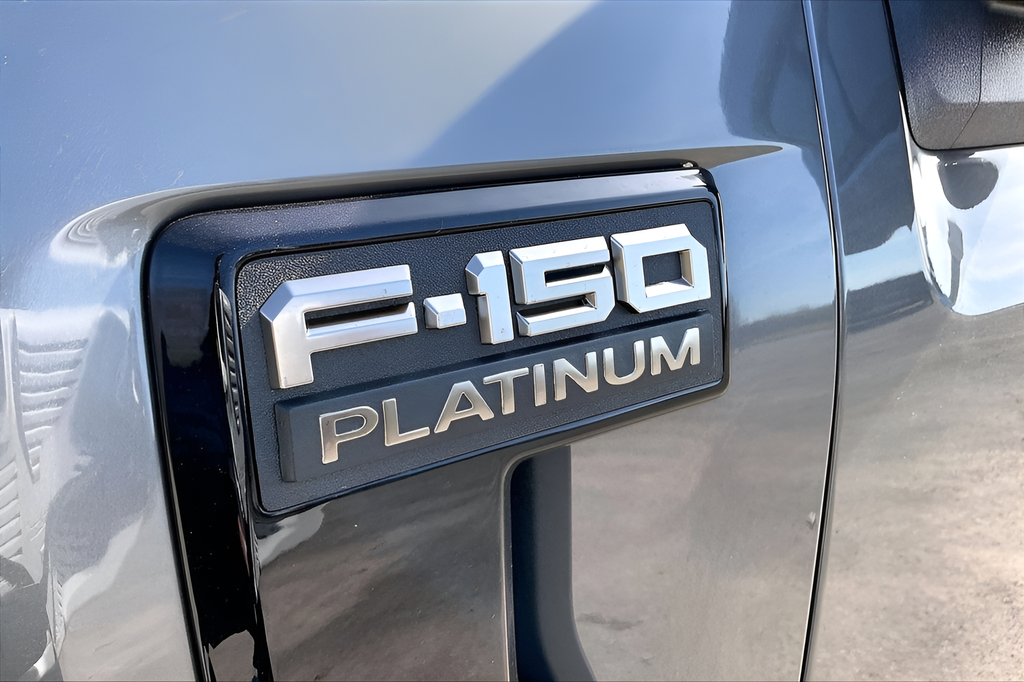 New 2025 Gray Ford Platinum image 16
