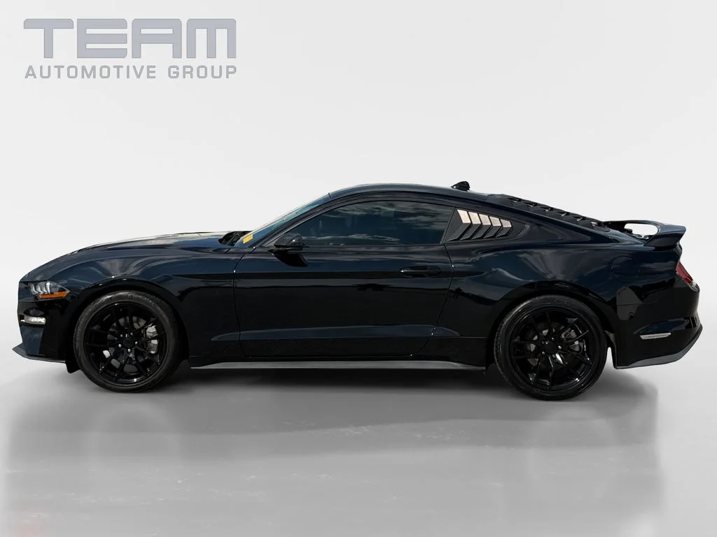 Used 2021 Black Ford EcoBoost image 4