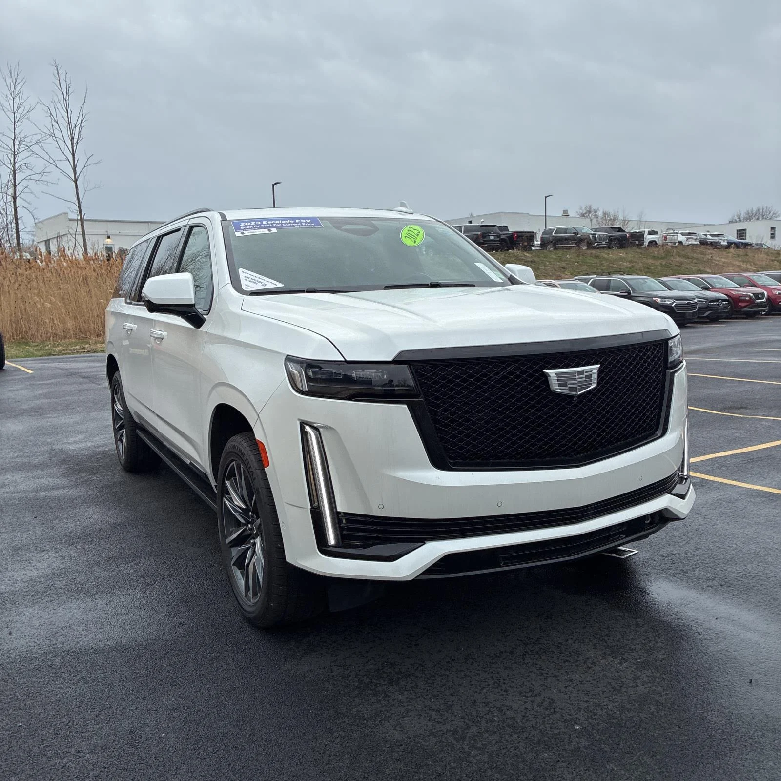 Used 2023 Crystal White Tricoat Cadillac 4WD Sport Platinum image 3