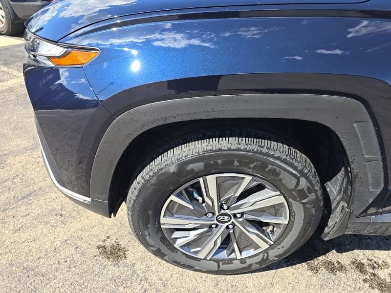 Used 2024 Blue Hyundai Blue image 10