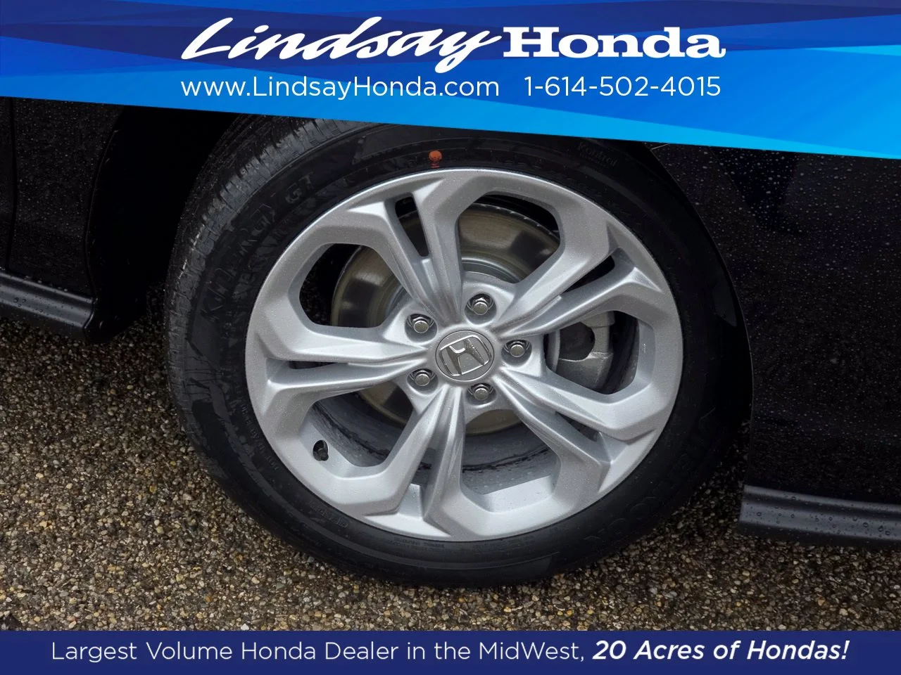 New 2026 Crystal Black Pearl Honda LX image 14
