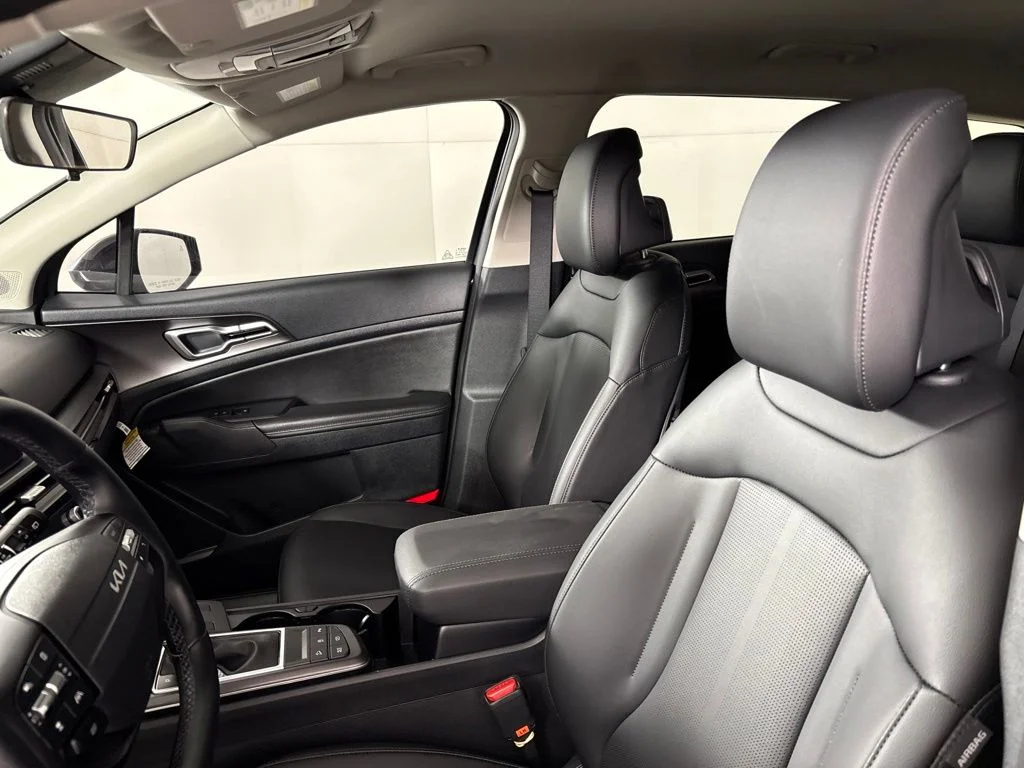New 2026 Panthera Metal Kia EX image 27
