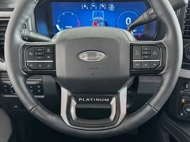 New 2026 White Ford Platinum image 14