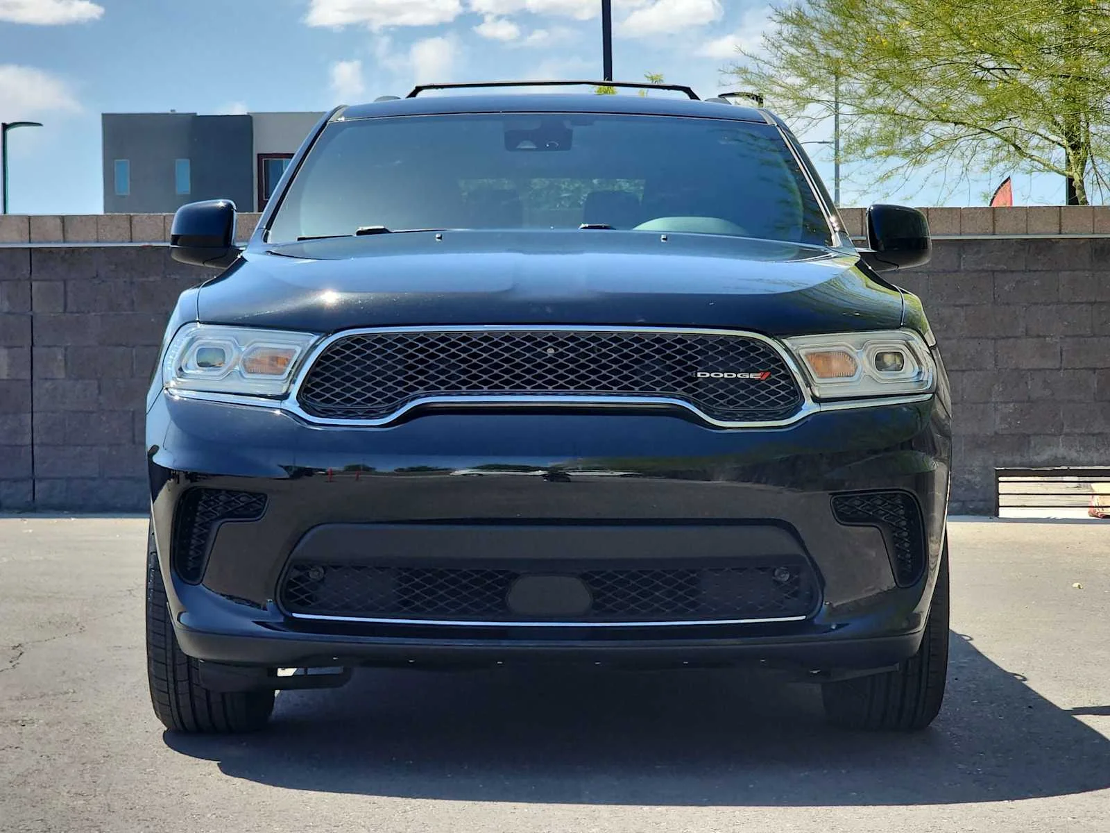 Used 2023 DB Black Clearcoat Dodge SXT Launch Edition image 3