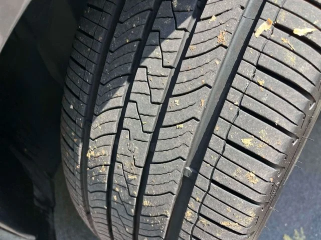 Used 2015 Guard Ford Titanium image 12
