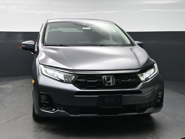 New 2027 Modern Steel Metallic Honda Elite image 2