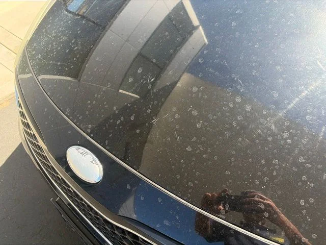 Used 2014 Black Kia LX image 13