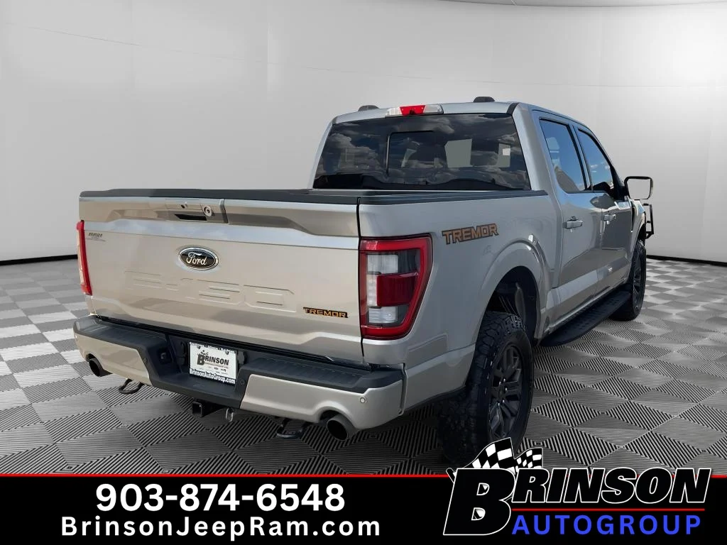 Used 2023 ICONIC SILVER METALLIC Ford Tremor image 7