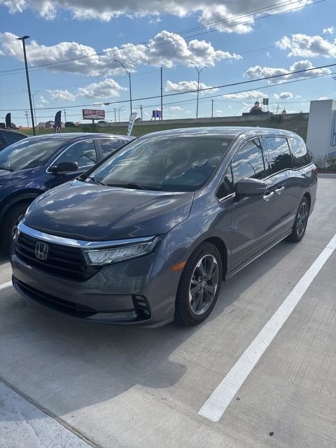 2023 Honda Odyssey Elite's photo