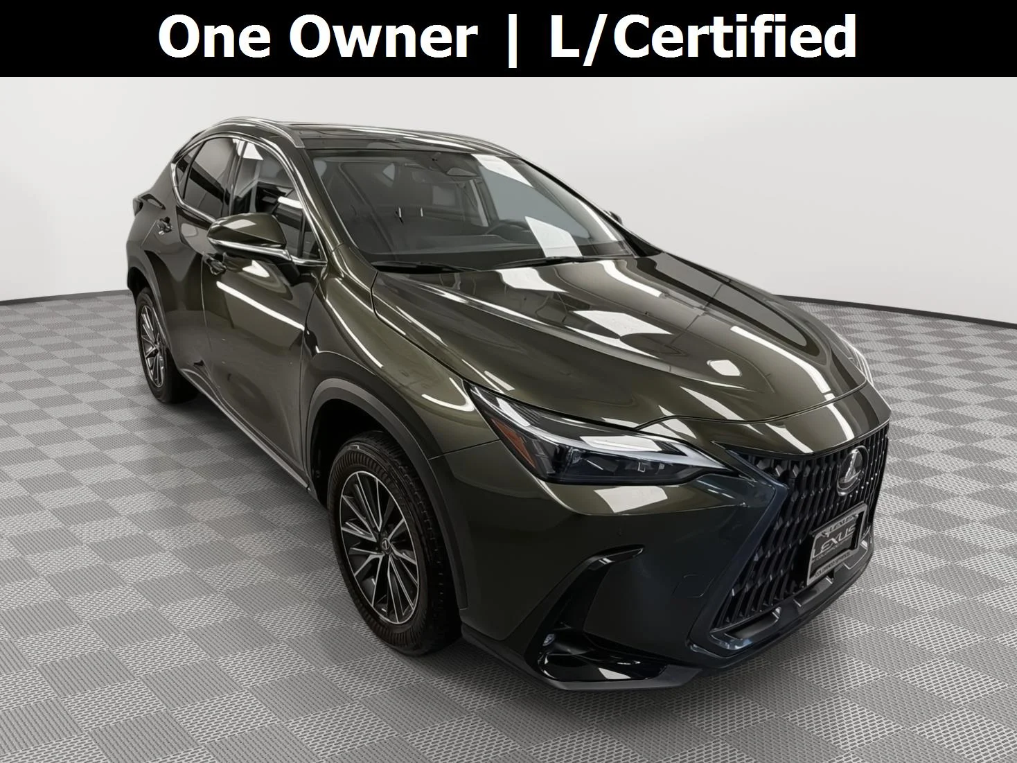 2024 Lexus NX