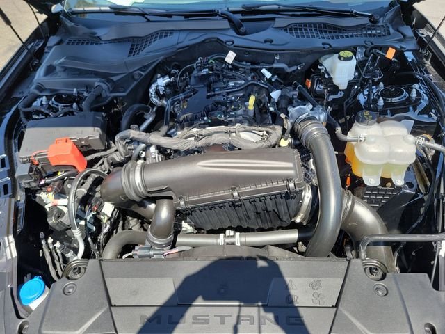 Used 2026 Shadow Black Ford EcoBoost image 21