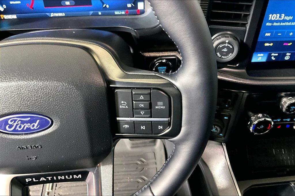 Used 2025 White Metallic Ford Platinum image 15