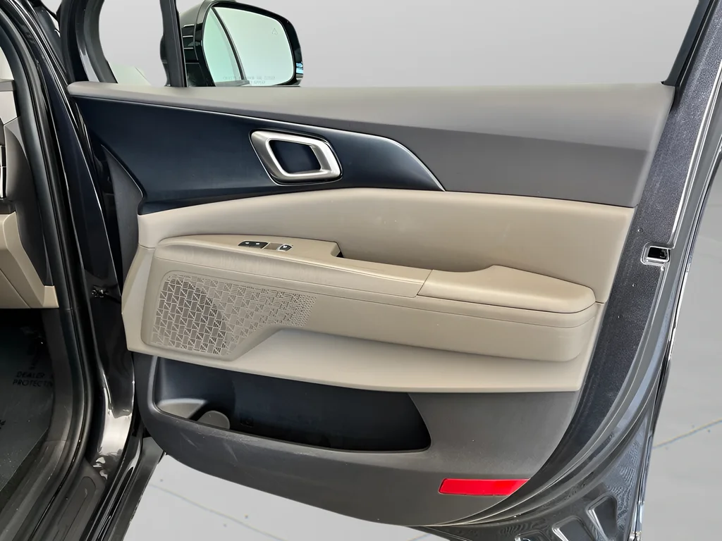 Used 2026 Panthera Metal Kia LXS image 38