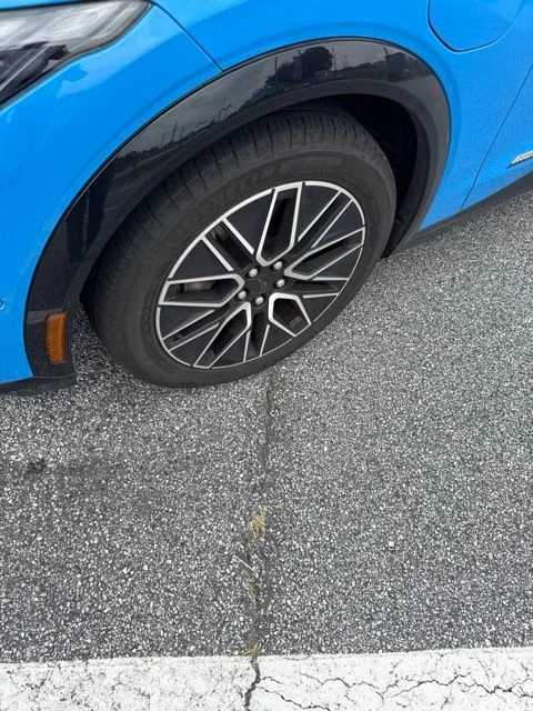 Used 2024 Grabber Blue Ford Premium image 4