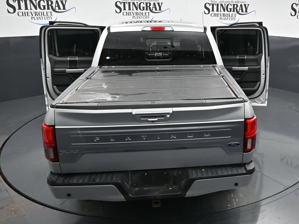Used 2018 Silver Ford Platinum image 35