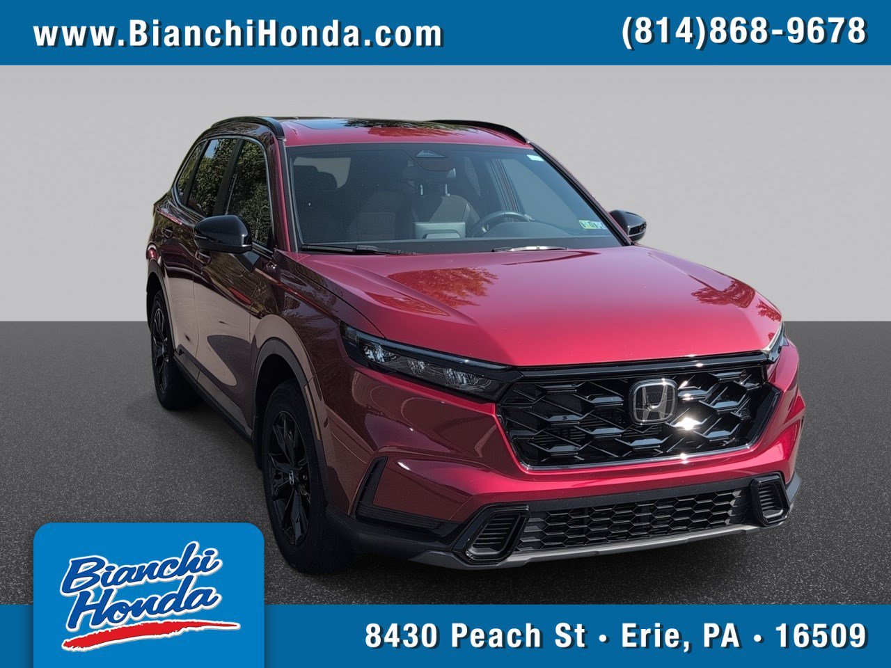 Used 2024 Red Honda Sport image 1