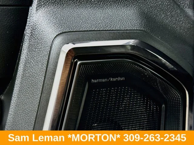 Used 2025 Blue Ram Limited image 19
