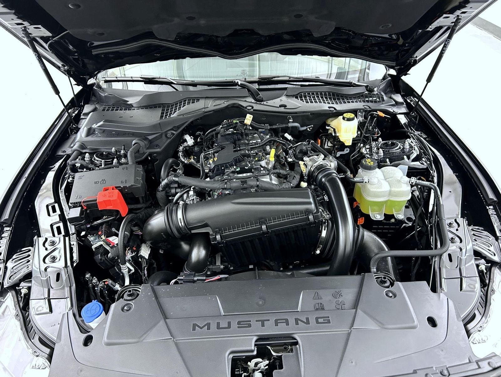 New 2026 Shadow Black Ford EcoBoost image 22