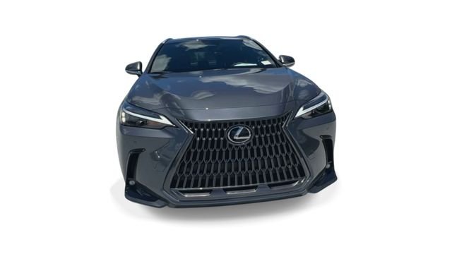 Used 2025 Gray Lexus 250 Premium image 3