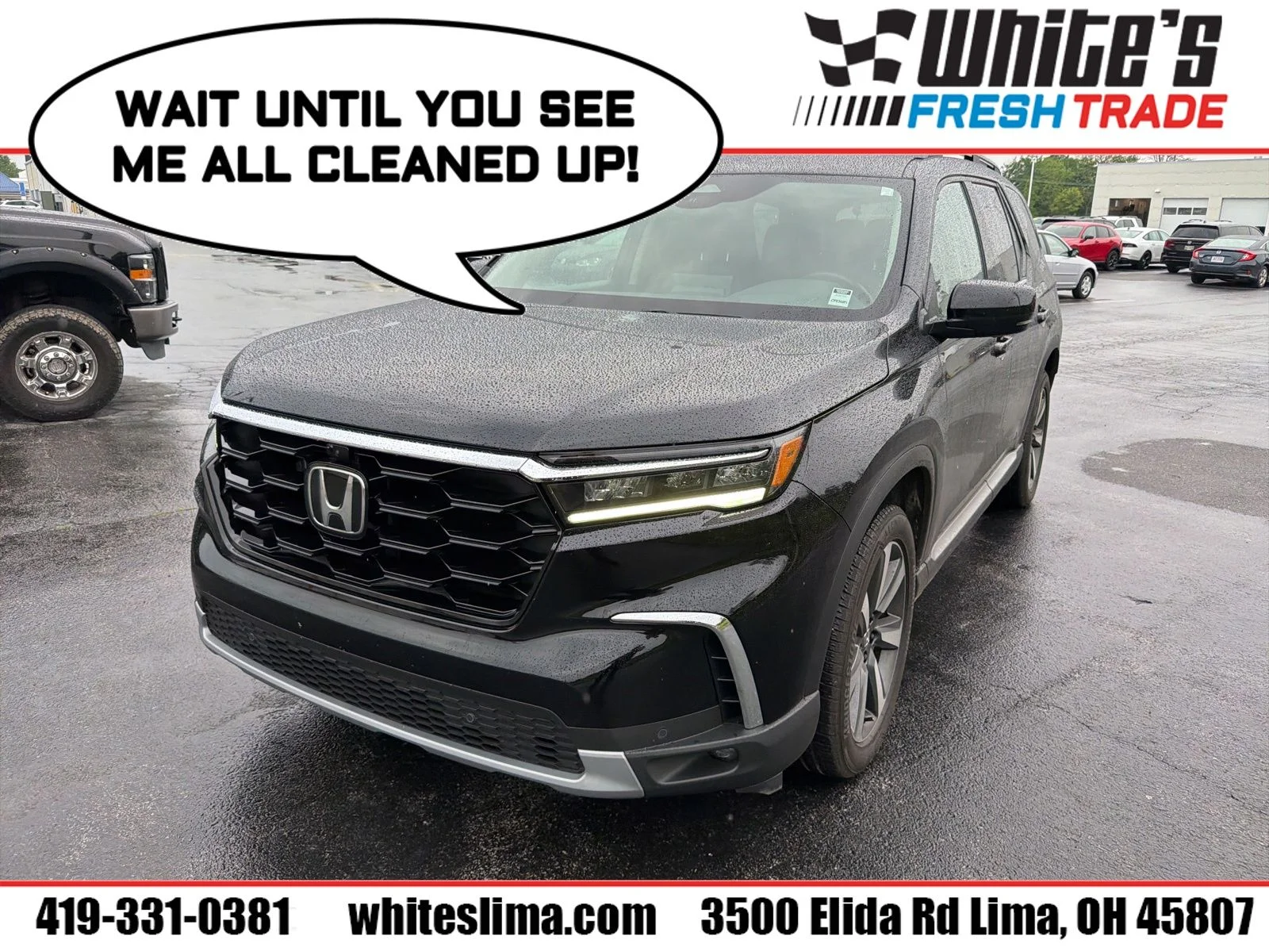 2024 Honda Pilot Elite AWD's photo