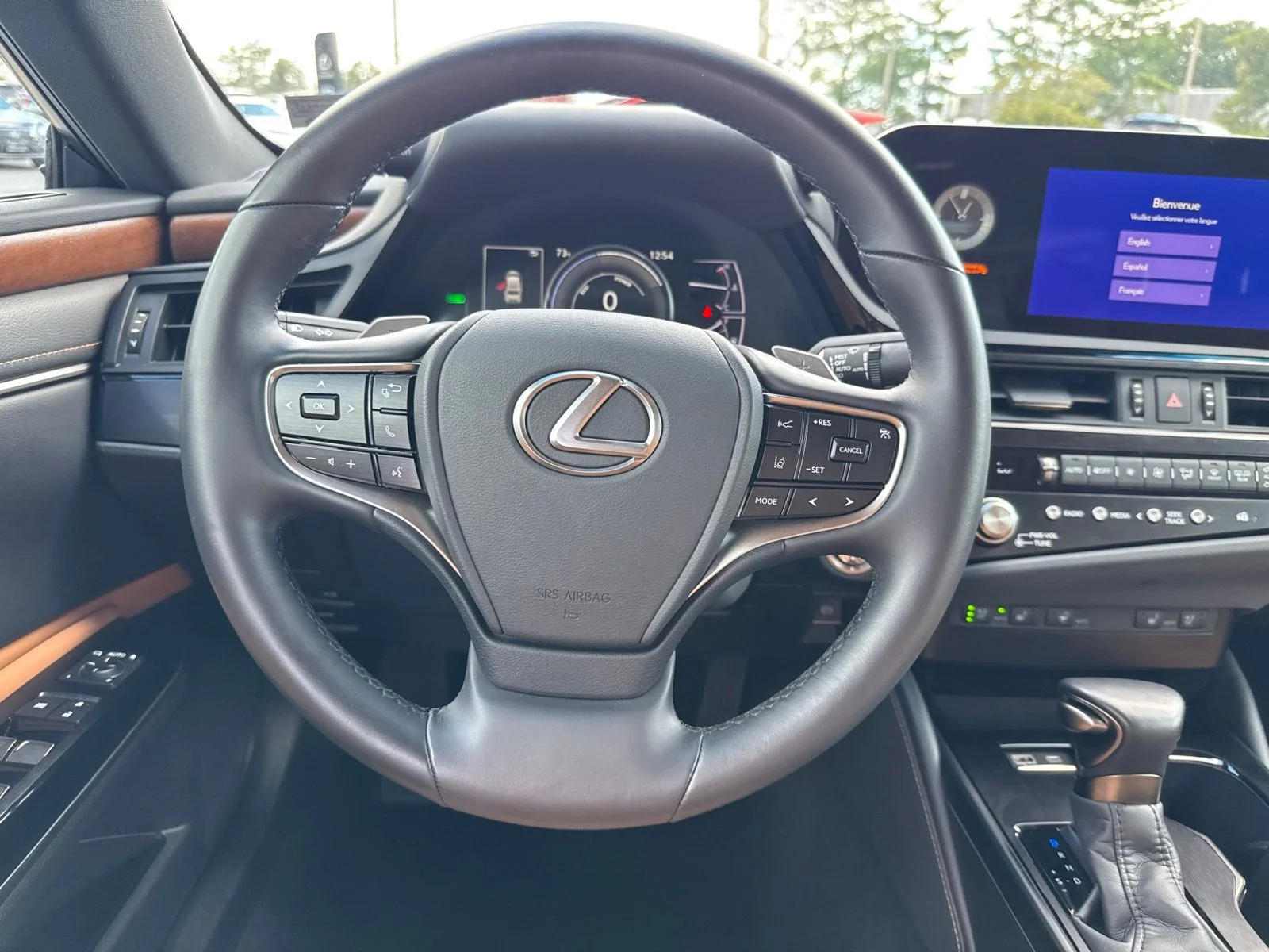 Used 2025 White Lexus 300h image 16
