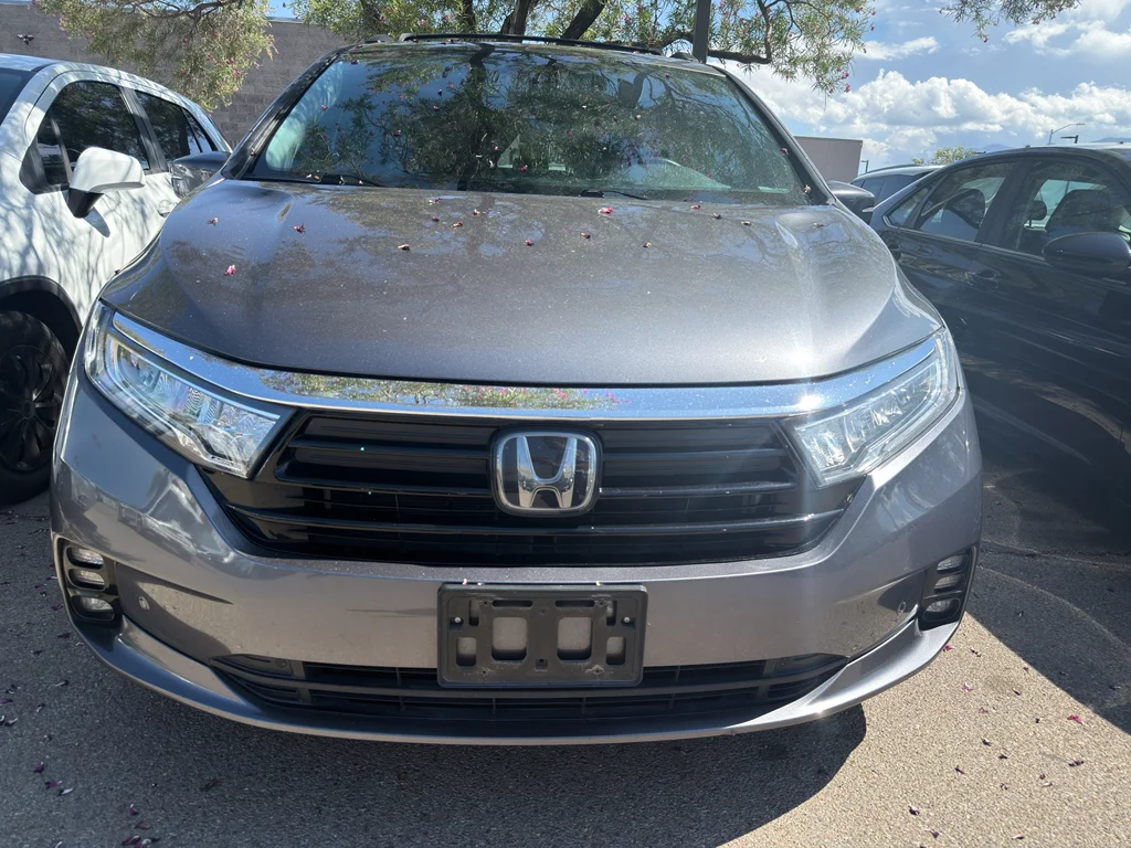 Used 2023 Modern Steel Metallic Honda Elite image 2