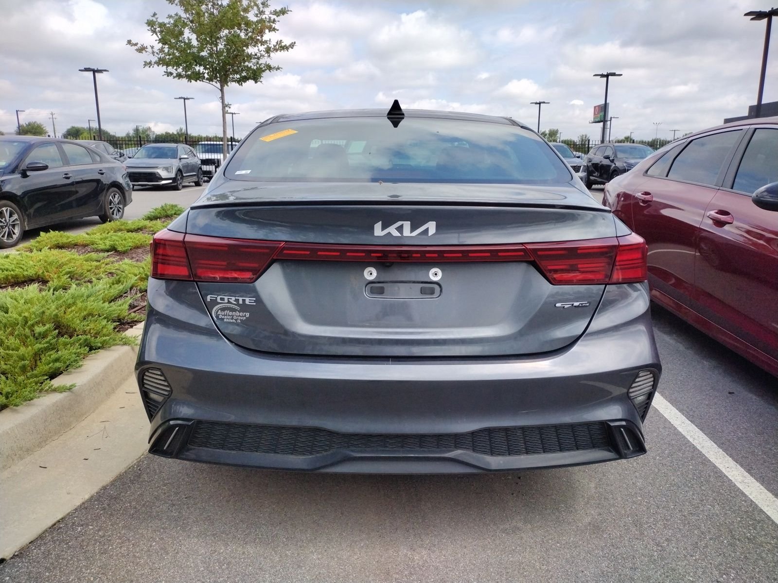Used 2024 Gray Kia GT-Line image 5