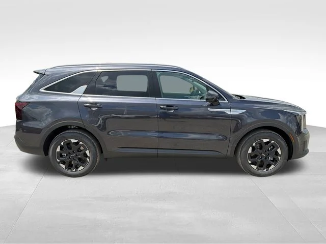 New 2026 Panthera Metal Kia S image 8