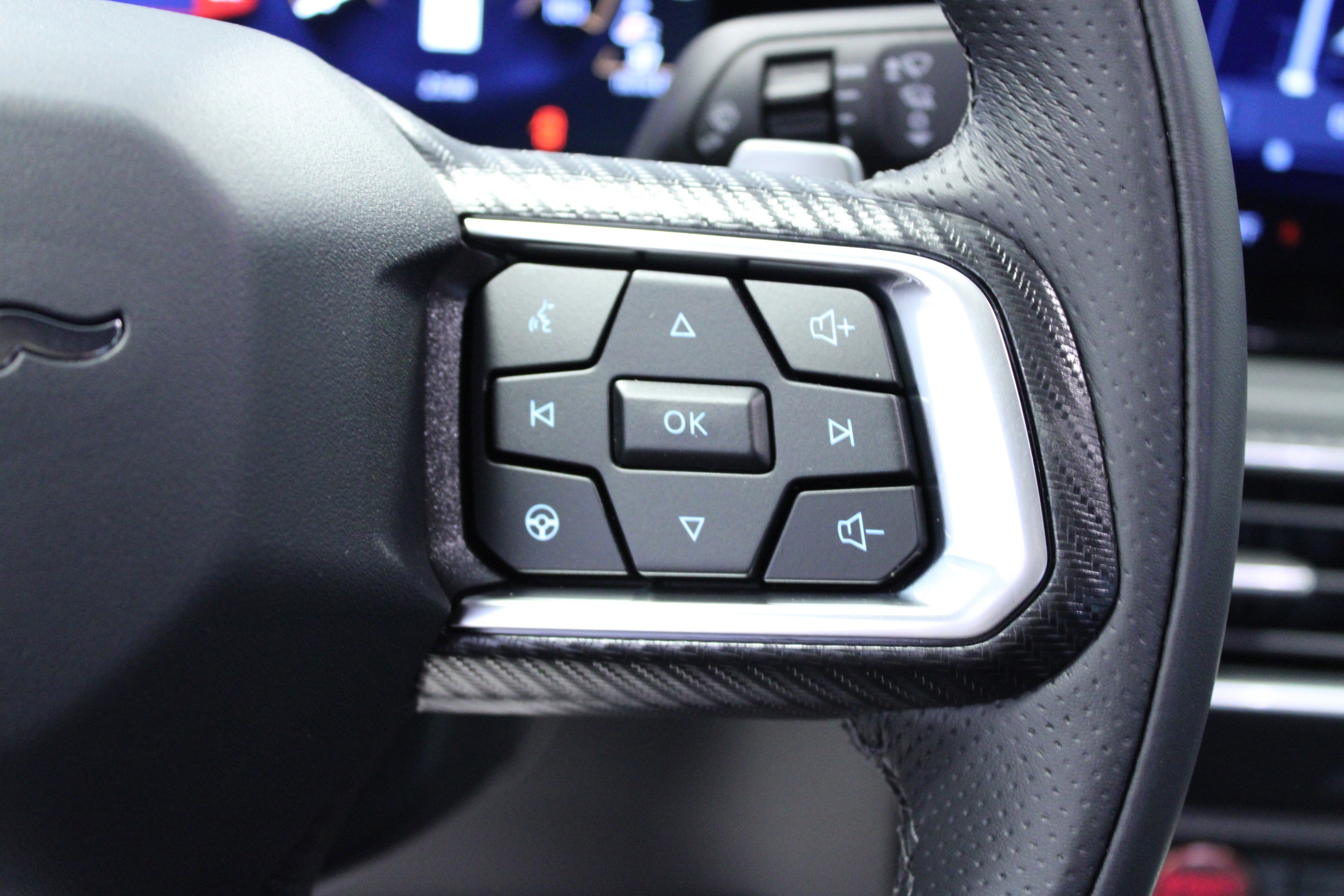 2025 Ford Mustang GT Premium Fastback - Photo 19