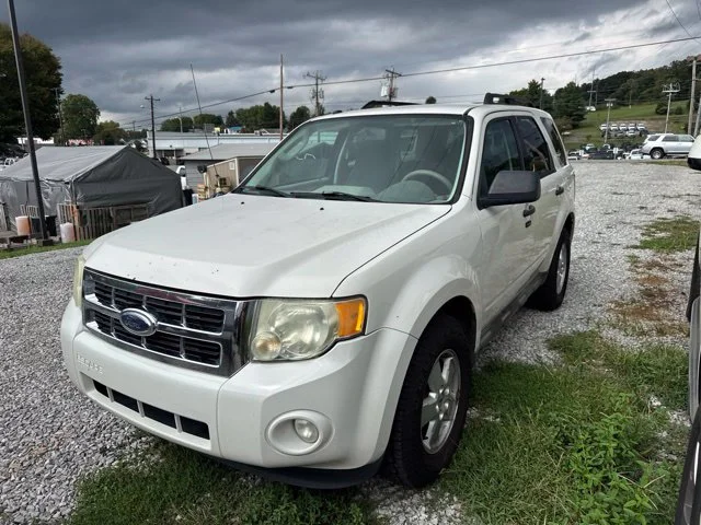 Used 2010 Beige Ford XLT image 3