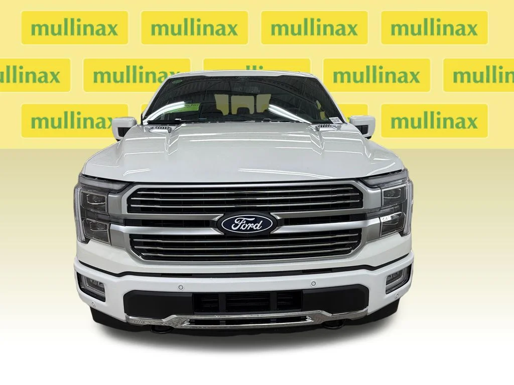 New 2026 White Ford Platinum image 14