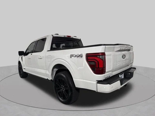 Used 2025 White Ford Platinum image 6
