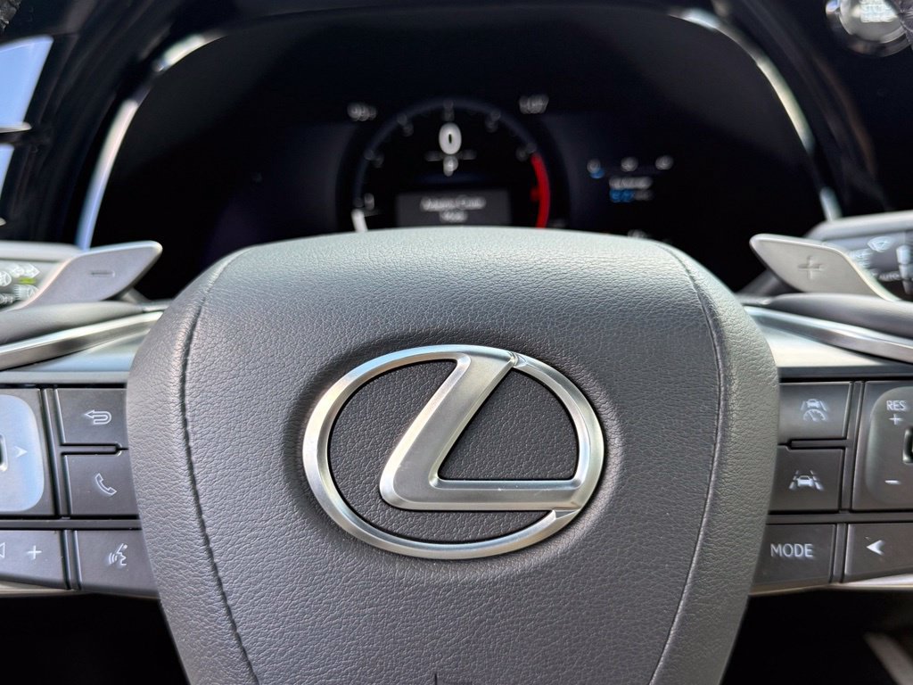 2025 Lexus RX 350 - Photo 30