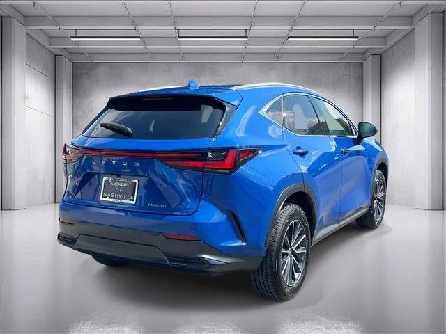 Certified Used 2025 GRECIAN WATER Lexus 250 Premium image 3