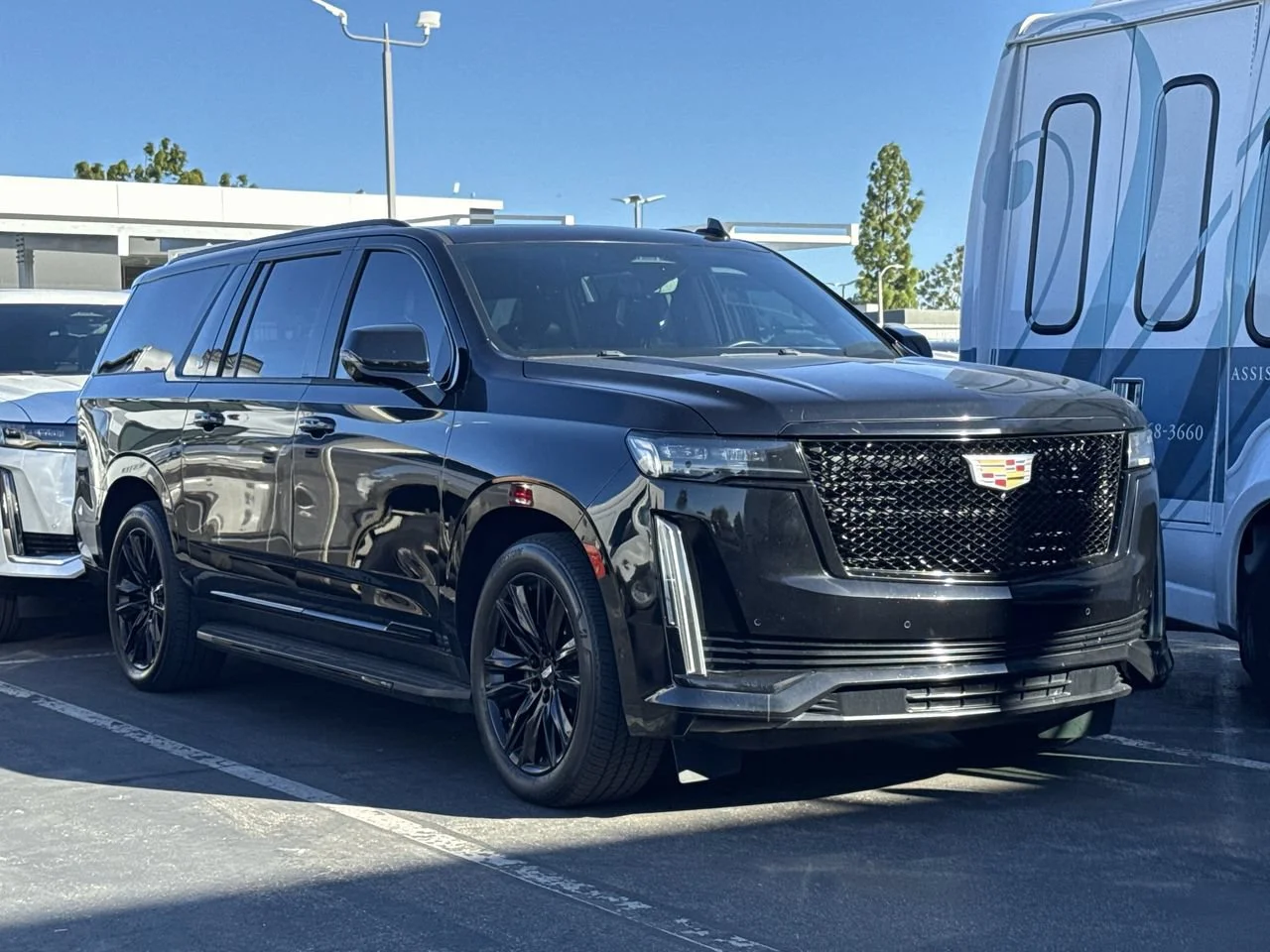 Used 2021 Black Raven Cadillac Sport Platinum image 2