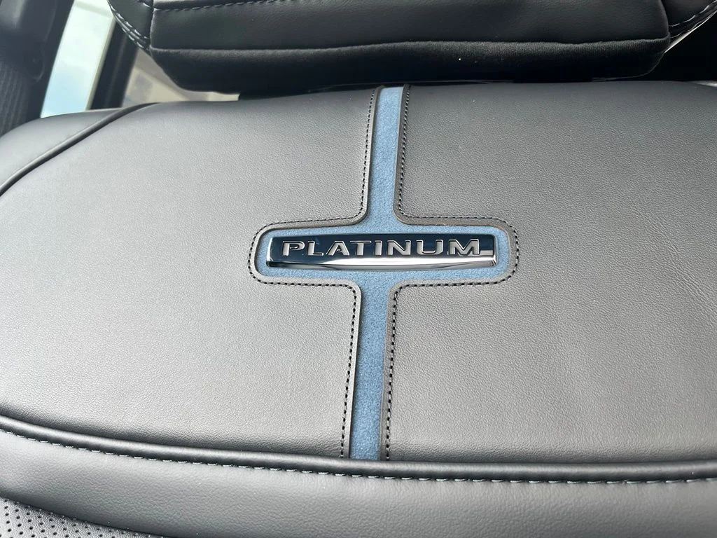 New 2026 Black Ford Platinum image 23