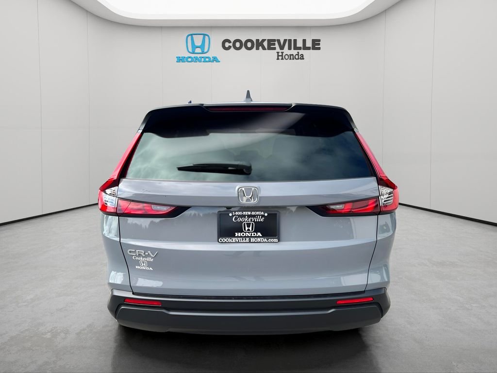 Used 2026  Honda EX image 3