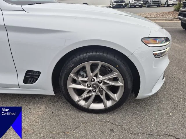 Used 2022 White Genesis 2.0T image 9