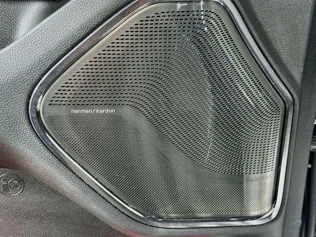 Used 2024 Black Ram Limited image 21