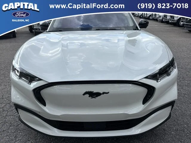 Used 2025 White Ford Premium image 10