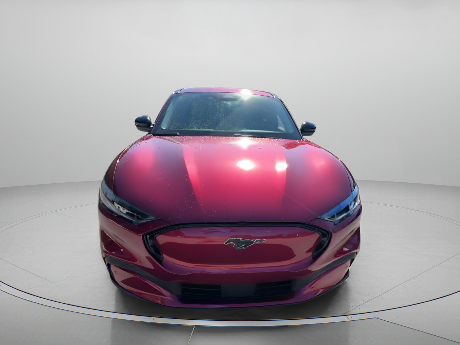 Certified 2025 Ford Mustang Mach-E Premium AWD with VIN 3FMTK3SU7SMA01022 for sale in Tampa, FL