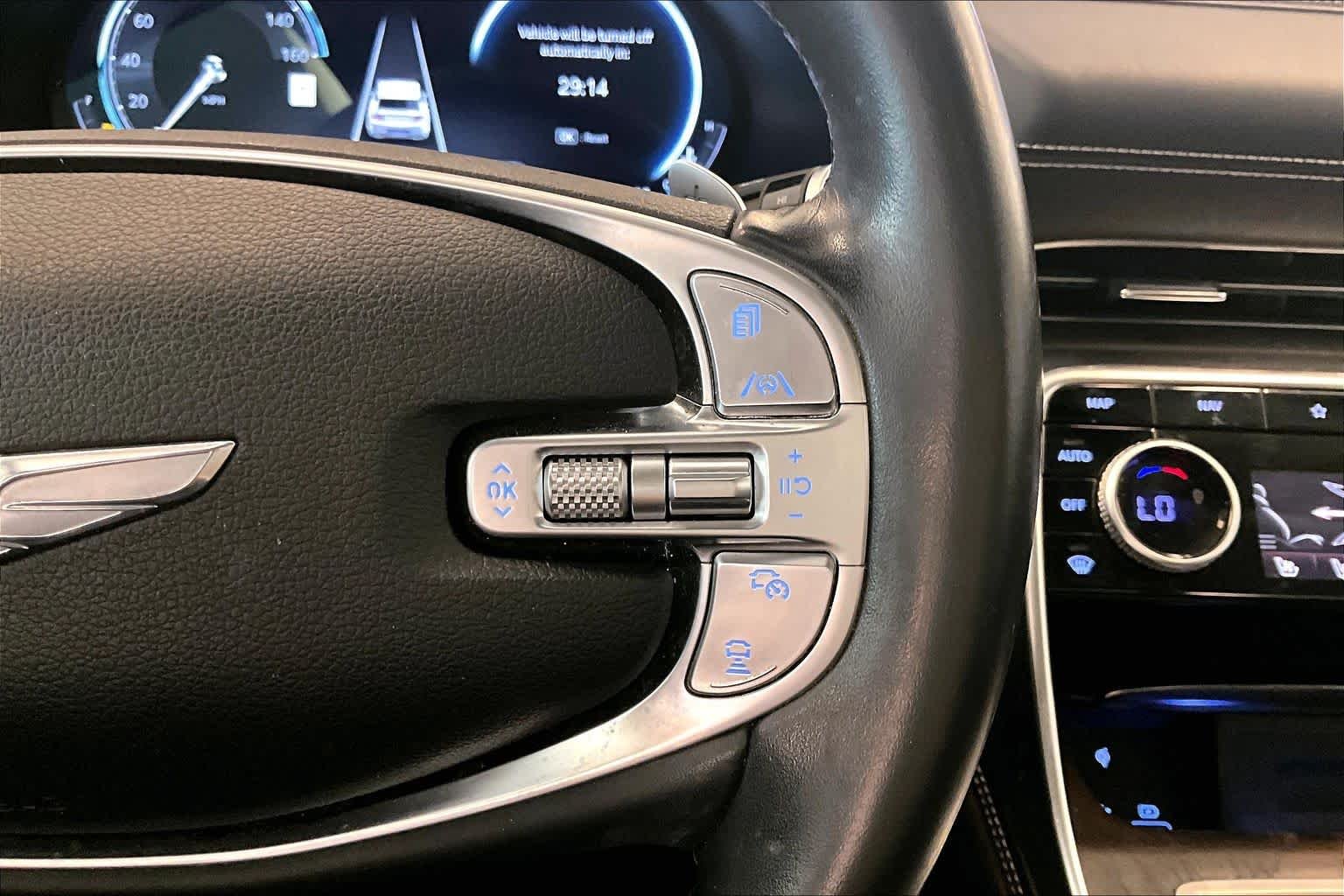 Used 2022 Himalayan Gray Genesis  image 24