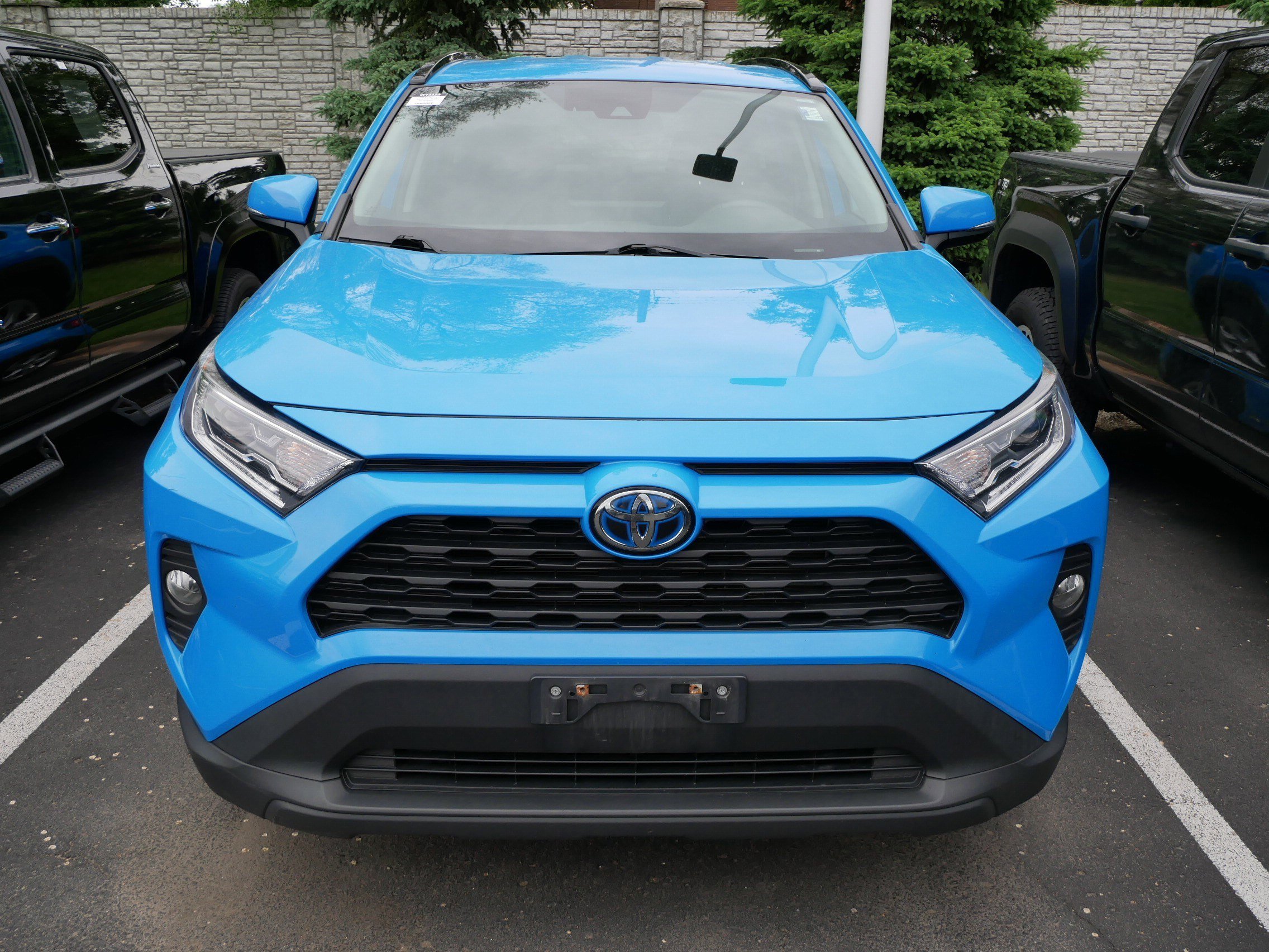 Used 2021 Toyota RAV4 XLE with VIN 4T3RWRFV1MU038464 for sale in Brooklyn Center, Minnesota