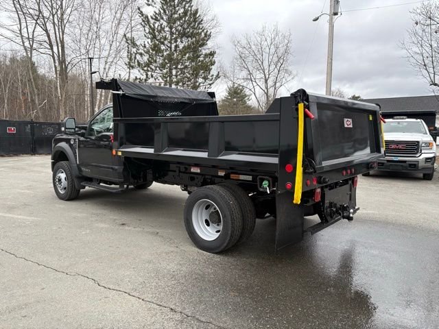 New 2026 Black Ford XL image 5